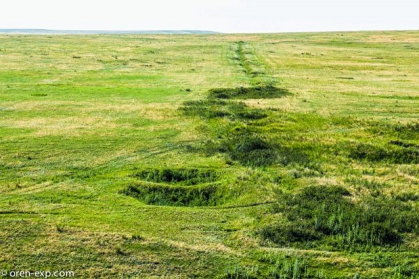 Кракен ссылка тор браузер