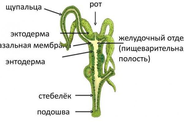 Кракен даркнет рабочая ссылка