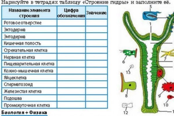 Как восстановить доступ к кракену
