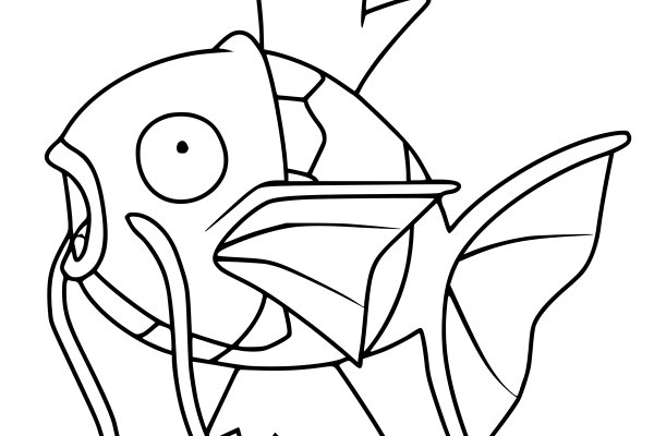 Kraken19 at